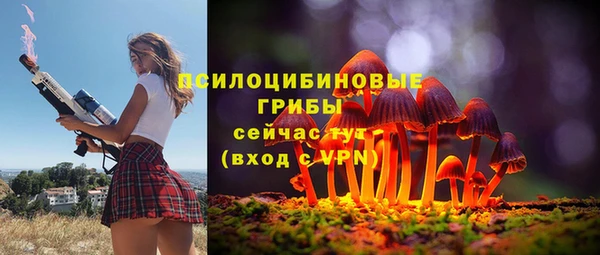 бутират Алзамай