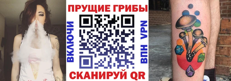 Псилоцибиновые грибы Psilocybine cubensis  гидра вход  Покров 